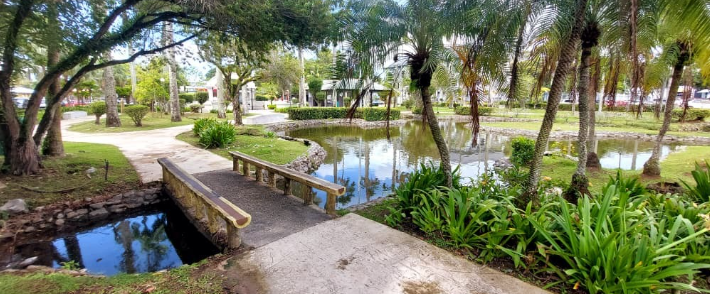 Taman Bunga photo