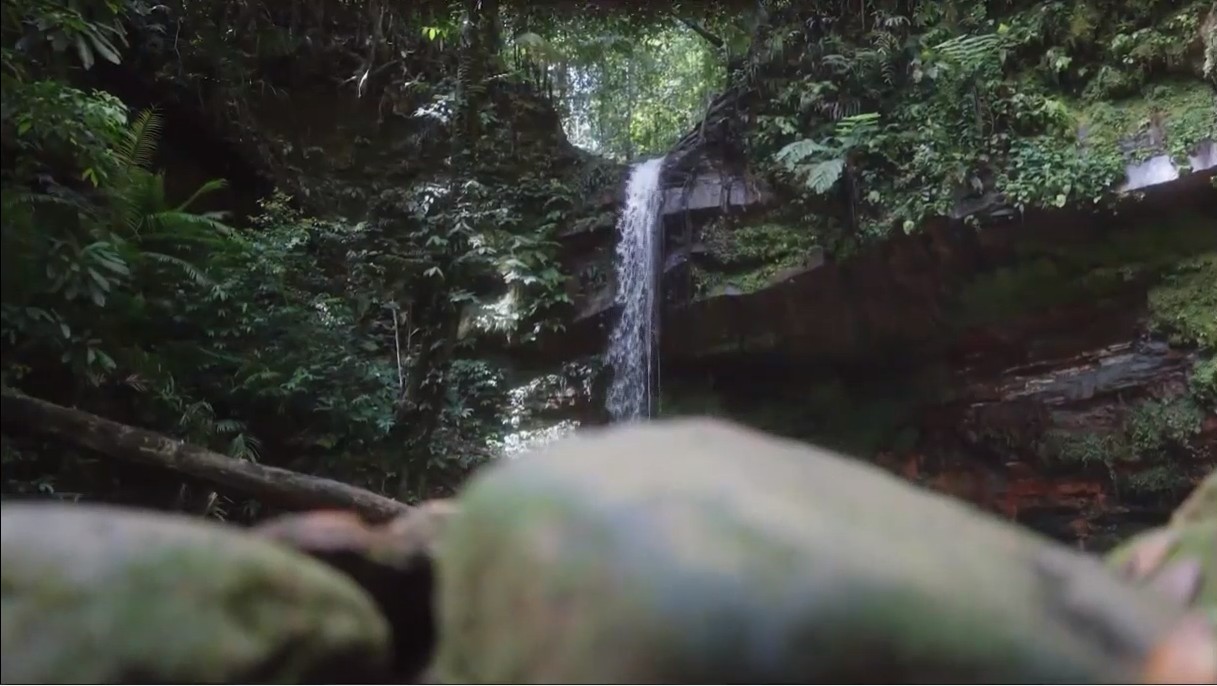 Lambir Hills National Park